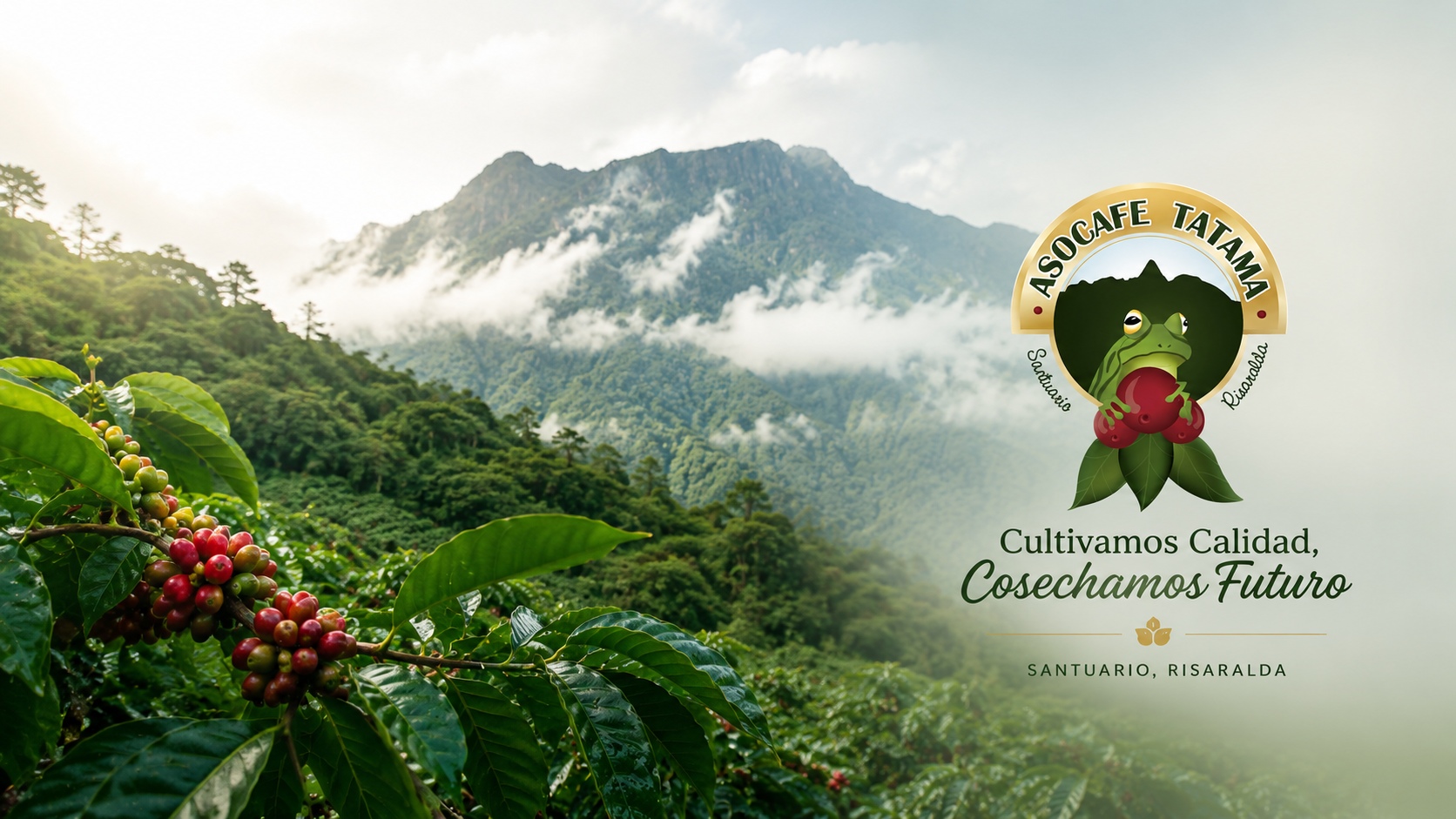 Paisaje cafetero de Santuario, Risaralda